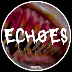 Echoes