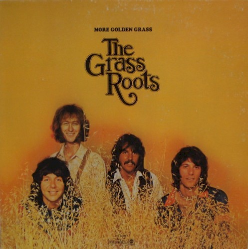 More Golden Grass
