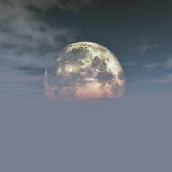 One Small Step
