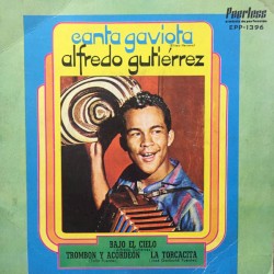 Canta gaviota