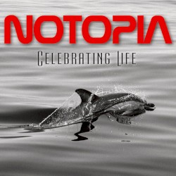 Celebrating Life