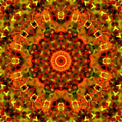 Birth
