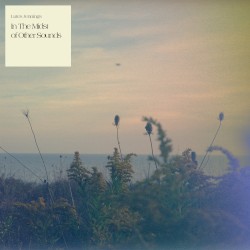 In The Midst of Other Sounds