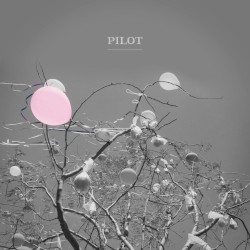 Pilot