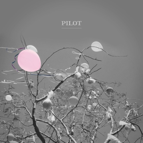 Pilot