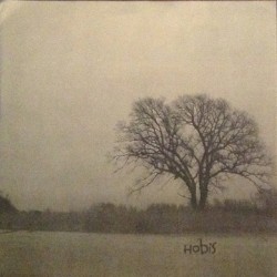 Split 7"