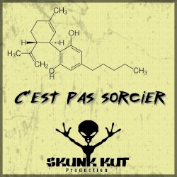 C'est pas sorcier