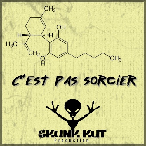 C'est pas sorcier