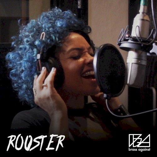 Rooster