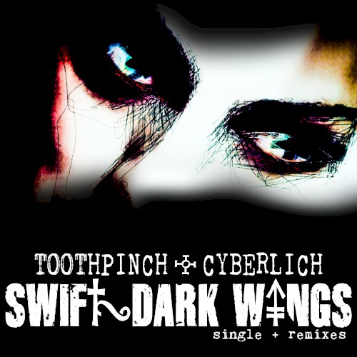 Swift Dark Wings