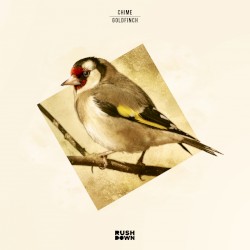 Goldfinch