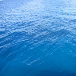 Searching for Lost Love at Sea