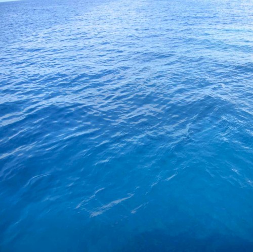 Searching for Lost Love at Sea