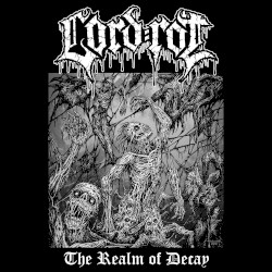 The Realm of Decay