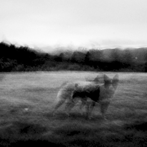 Empty Space