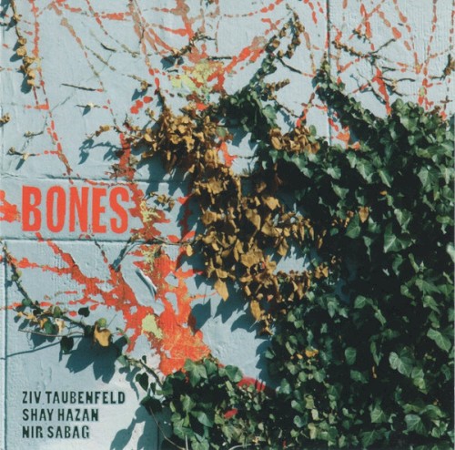 Bones