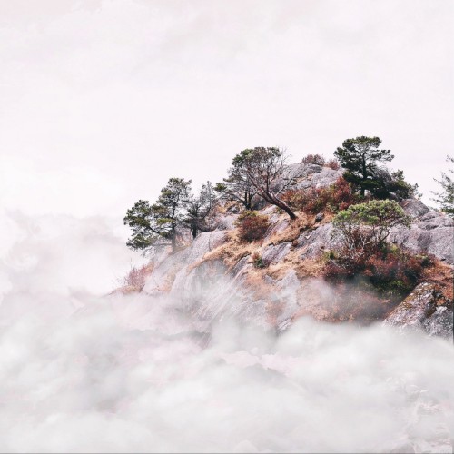 Martial Arts