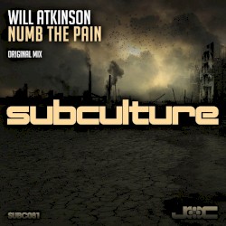 Numb The Pain