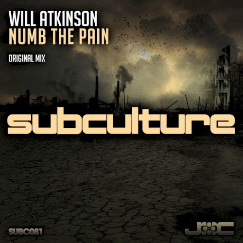 Numb The Pain