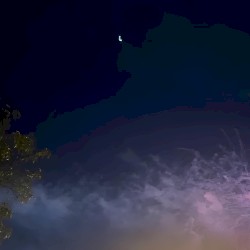moonbeams