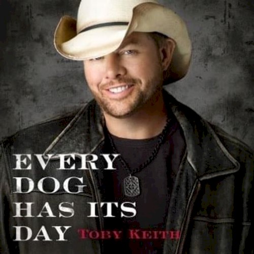 Every Dog Has Its Day