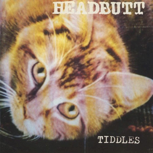 Tiddles