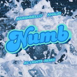 Numb (KC Lights remix)