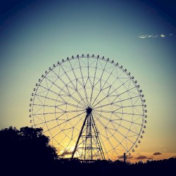 Routine Loop_EP