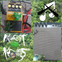 World Frog Day of Noise, Vol. 2