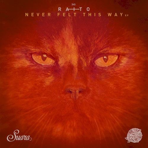 Never Felt This Way EP