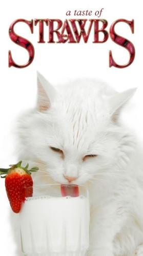 A Taste of Strawbs