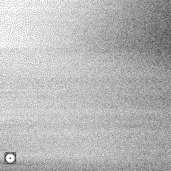 (communion through) Polysympanic Entropy