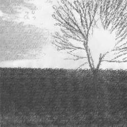 In The Cold Light Of Day