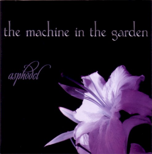 Asphodel