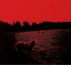HELL‐SEE
