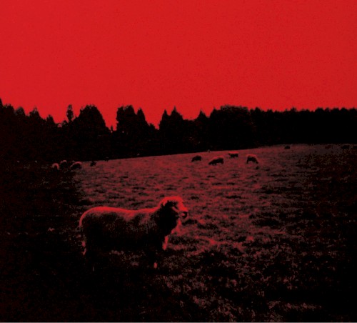 HELL‐SEE
