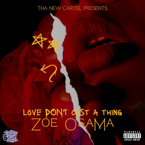 Love Dont Cost a Thing