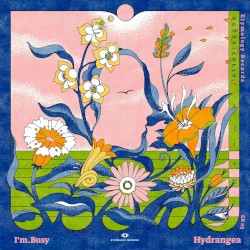 Hydrangea