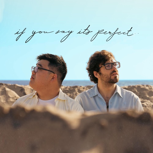 if you say it's perfect...
