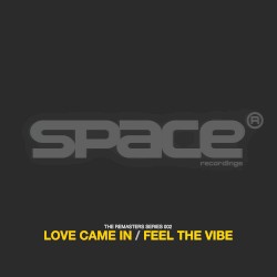 Love Came In / Feel the Vibe