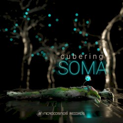 Soma