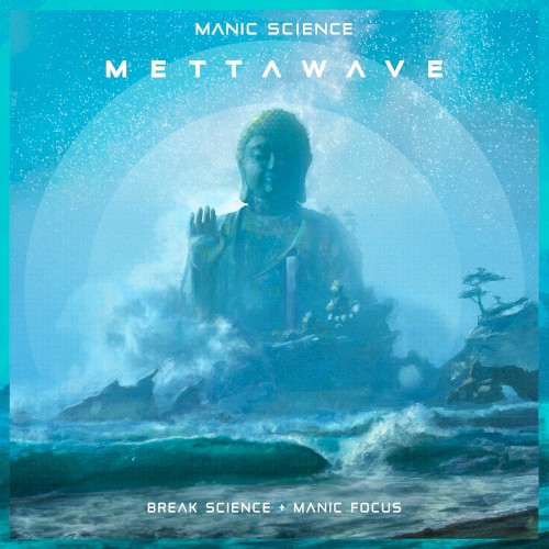 Mettawave