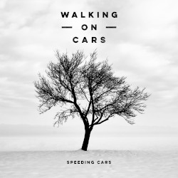 Speeding Cars (acoustic version)