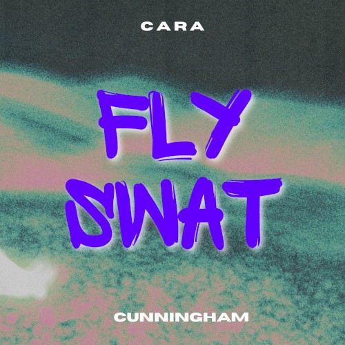 Fly Swat