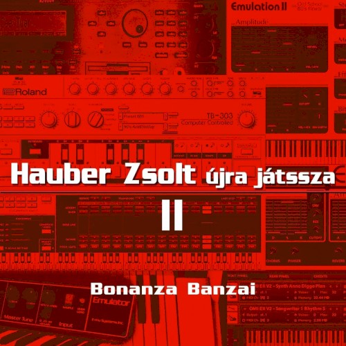 Hauber Zsolt újra játssza II.