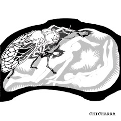 Chicharra