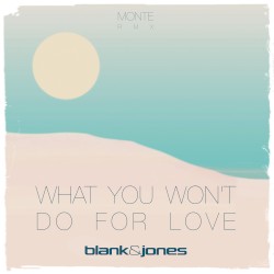What You Won't Do for Love (Monte remix)
