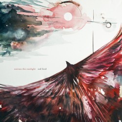 Red Bird
