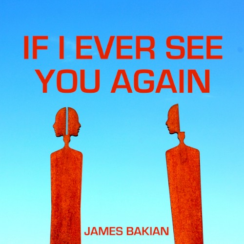 If I Ever See You Again