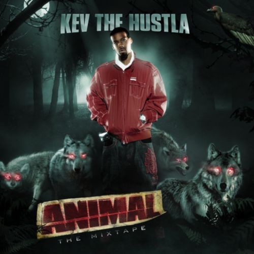 Animal